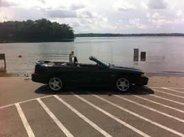 mustang.webp