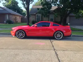Mustang.webp