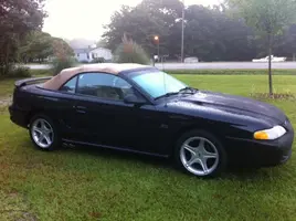 Mustang.webp