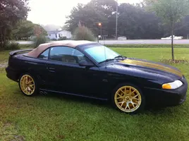 Mustang.webp