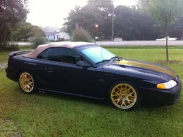 Mustang.webp