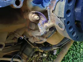 image.webp image.webp