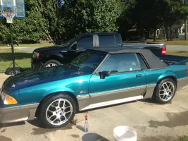 mustang.webp
