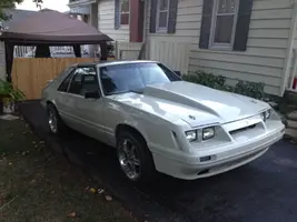 mustang2.webp