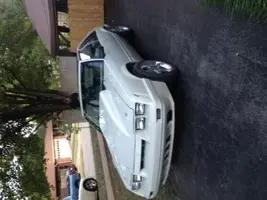 mustang3.webp