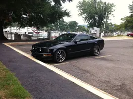 Mustang at Marina.webp