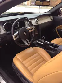 Stang Interior 1.webp