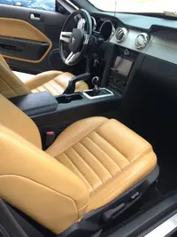Stang Interior 2.webp