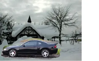 snow.webp
