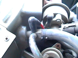 15.webp