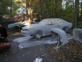 SprayDay3.webp