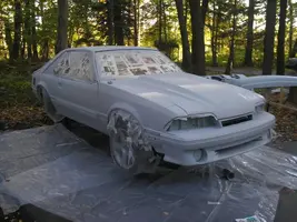 SprayDay7.webp