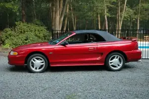 mustang2.webp