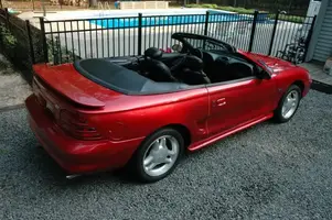 mustang.webp