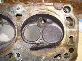 ds-head-003.webp