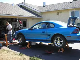 mustangswap057.webp
