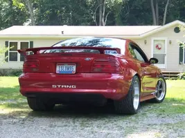 stangbumper.webp