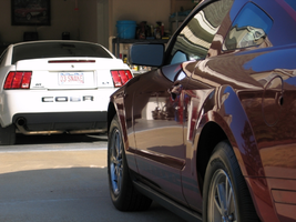 z05b.webp