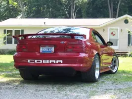 cobrabumper.webp