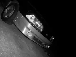 100_0424.webp