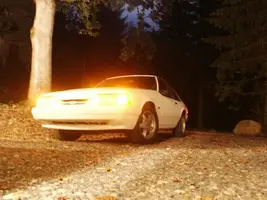 nightshots002.webp