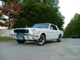 DSCF3895.webp