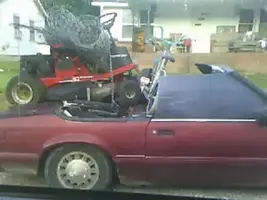 foxbody.webp