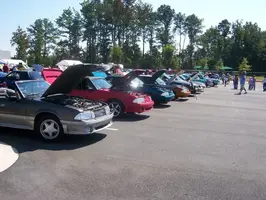 100_0361.webp