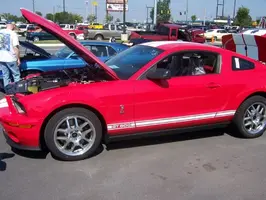 100_0365.webp