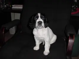 dsc00156kb4.webp