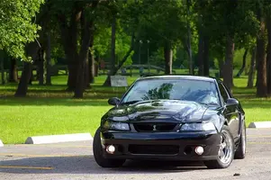 cobra_front2.webp