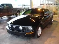 mymustang1cv2.th.webp