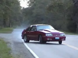 Picture029-1.webp