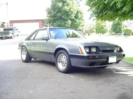 noplate.webp