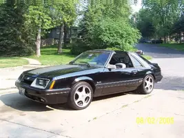 lowered1.webp