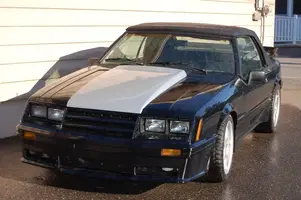 maggie2yr249.webp