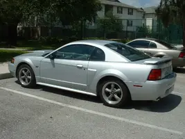 mustang001.webp