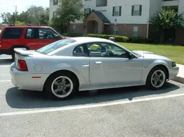 mustang004.webp