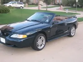 newcar1.webp