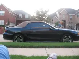 newcar4.webp