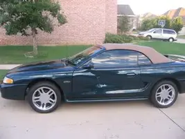 newcar6.webp
