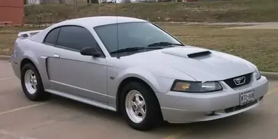 stang.webp