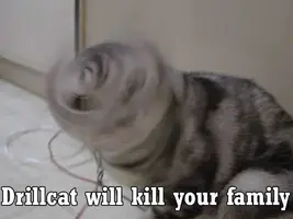 drillcat.webp