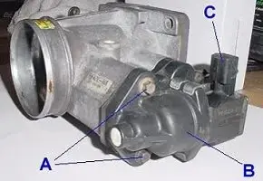 iac1.webp