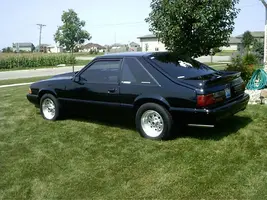 Picture_313.webp