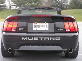 stang2-2006036.webp
