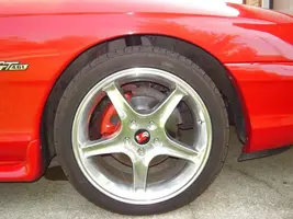 mustang009.webp