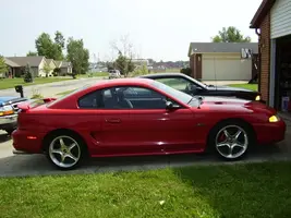 mustang001.webp
