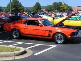 Picture019.webp