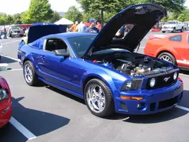Picture016.webp